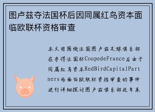 图卢兹夺法国杯后因同属红鸟资本面临欧联杯资格审查 图卢兹夺法国杯后因同属红鸟资本面临欧联杯资格审查