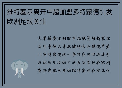 维特塞尔离开中超加盟多特蒙德引发欧洲足坛关注 维特塞尔离开中超加盟多特蒙德引发欧洲足坛关注