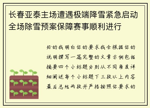 长春亚泰主场遭遇极端降雪紧急启动全场除雪预案保障赛事顺利进行 长春亚泰主场遭遇极端降雪紧急启动全场除雪预案保障赛事顺利进行